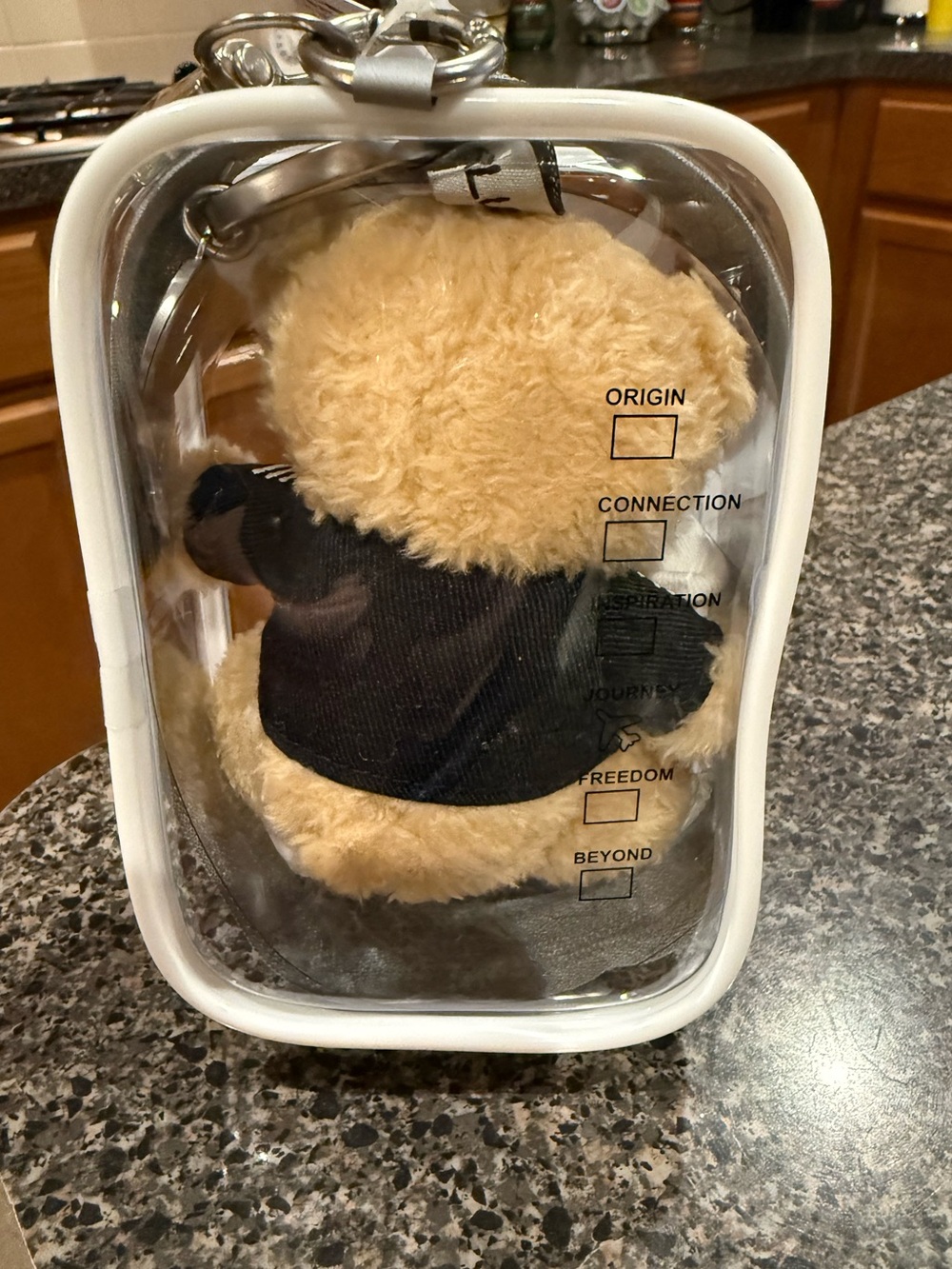 Starbucks  + Starlux  Taiwan Exclusive Avaition Captain Plush Bear Keychain - - Picture 3 of 5